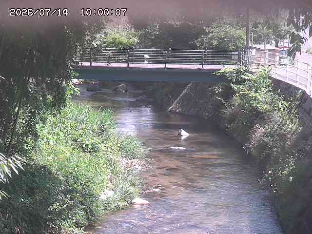 土師川３2026/07/14 15:20:00