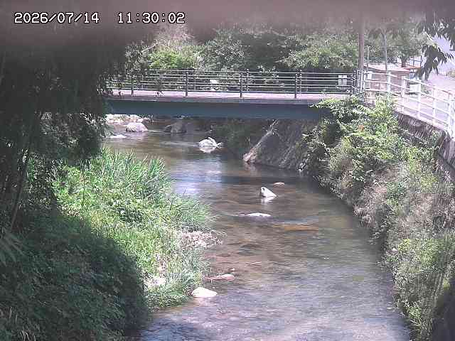 土師川３2026/07/14 15:20:00