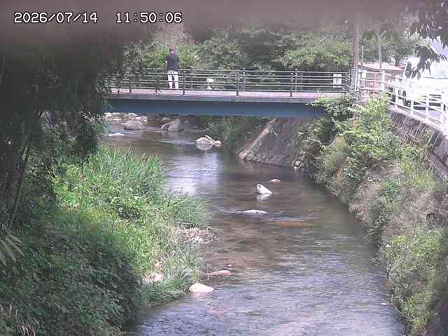 土師川３2026/07/14 15:20:00