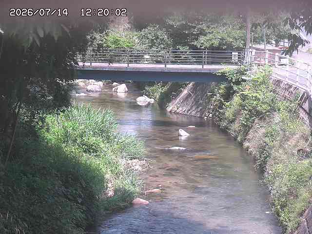 土師川３2026/07/14 15:20:00