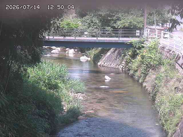 土師川３2026/07/14 15:20:00
