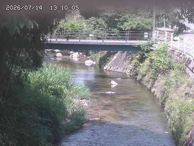 土師川３2026/07/14 15:20:00