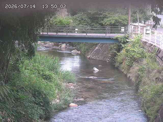 土師川３2026/07/14 15:20:00
