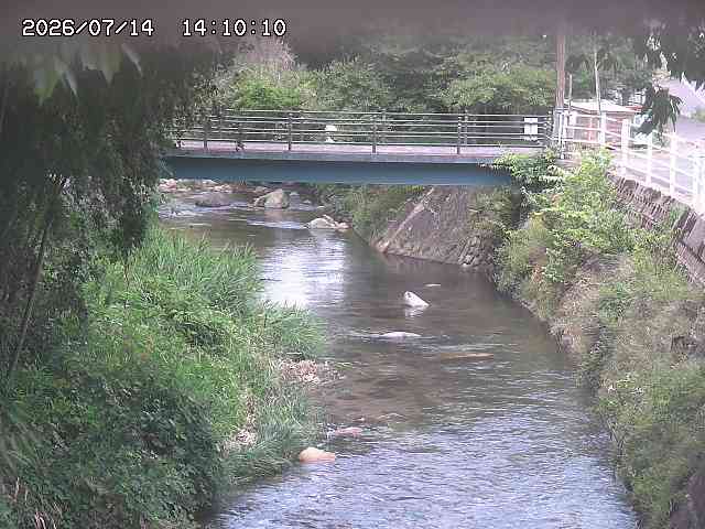 土師川３2026/07/14 15:20:00