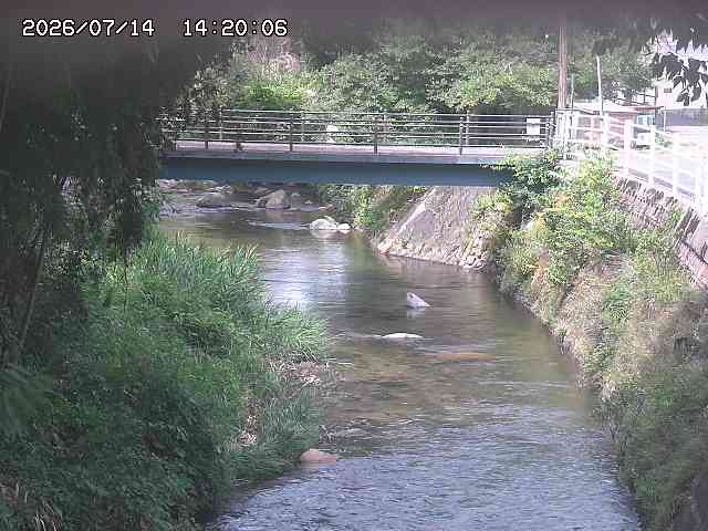 土師川３2026/07/14 15:20:00