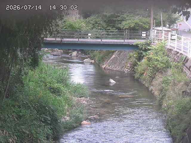 土師川３2026/07/14 15:20:00