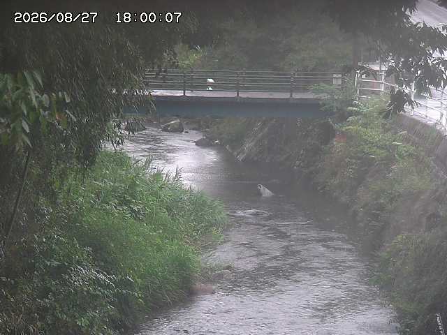 土師川３2026/08/28 17:30:00