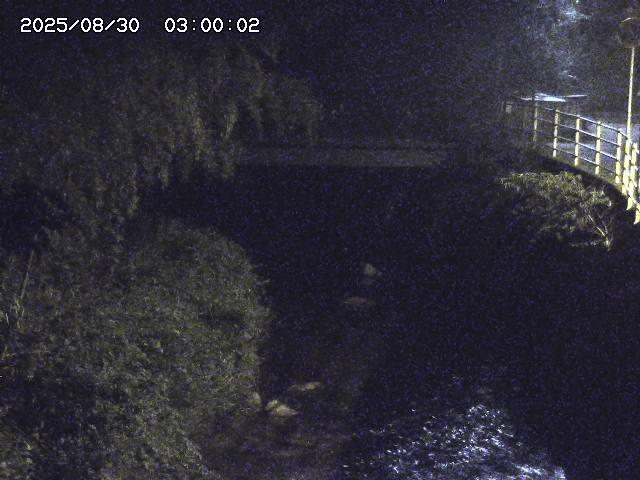 土師川３2025/08/31 1:00:00