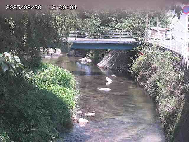 土師川３2025/08/31 1:00:00