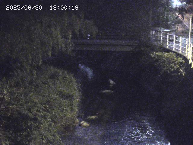 土師川３2025/08/31 1:00:00