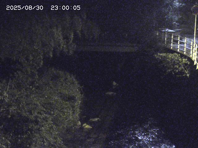 土師川３2025/08/31 1:00:00