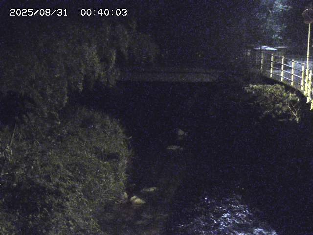 土師川３2025/08/31 1:00:00