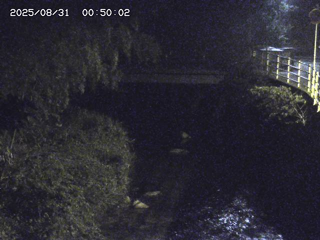 土師川３2025/08/31 1:00:00