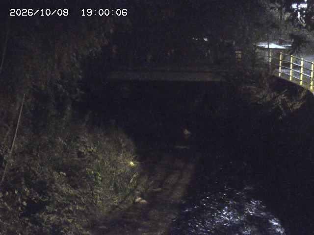 土師川３2026/10/09 19:40:00