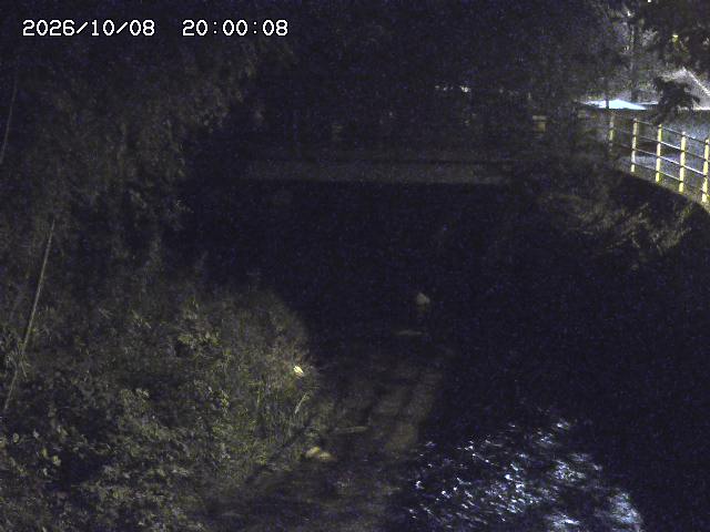 土師川３2026/10/09 19:40:00
