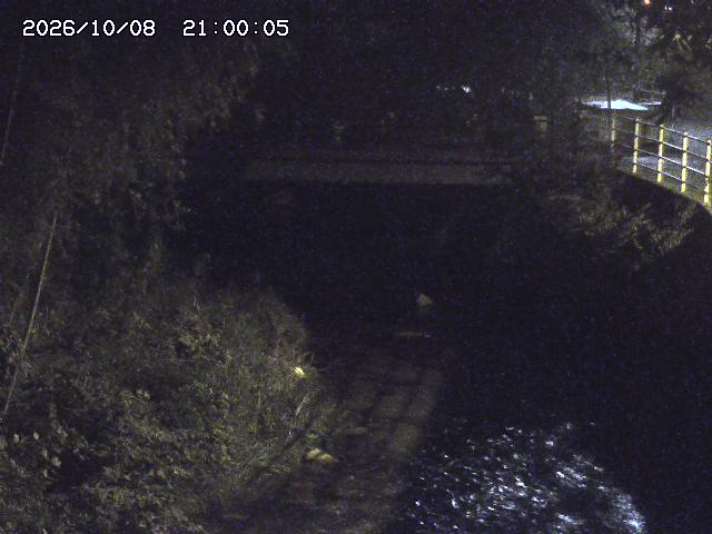 土師川３2026/10/09 19:40:00