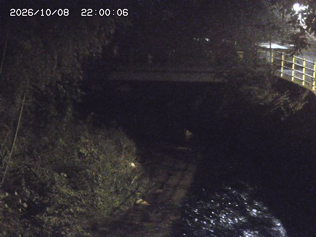 土師川３2026/10/09 19:40:00