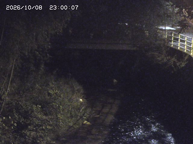 土師川３2026/10/09 19:40:00