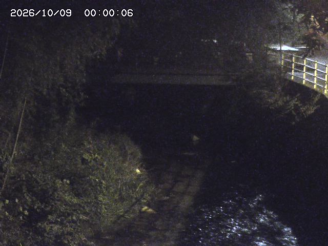 土師川３2026/10/09 19:40:00