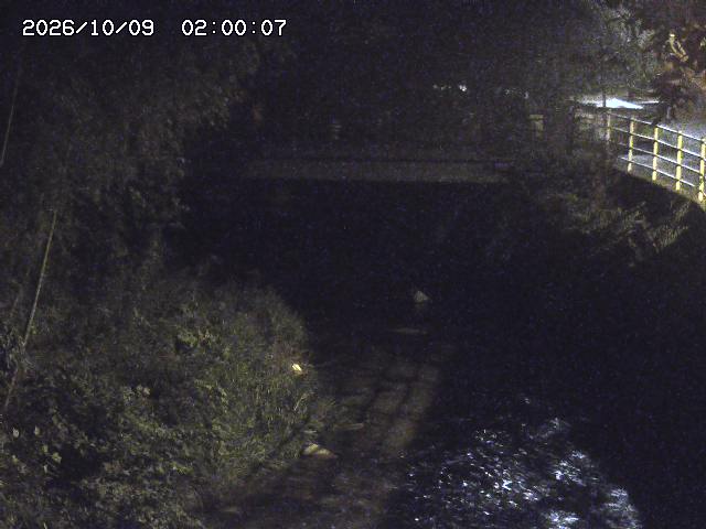 土師川３2026/10/09 19:40:00