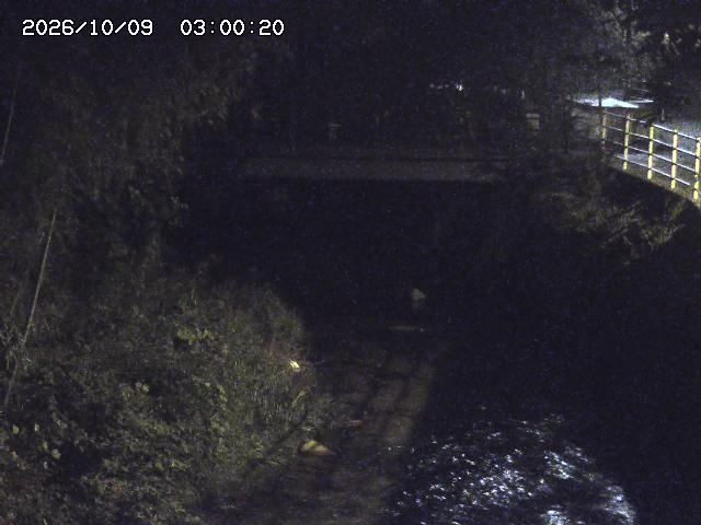 土師川３2026/10/09 19:40:00