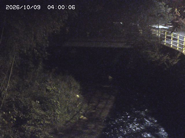 土師川３2026/10/09 19:40:00