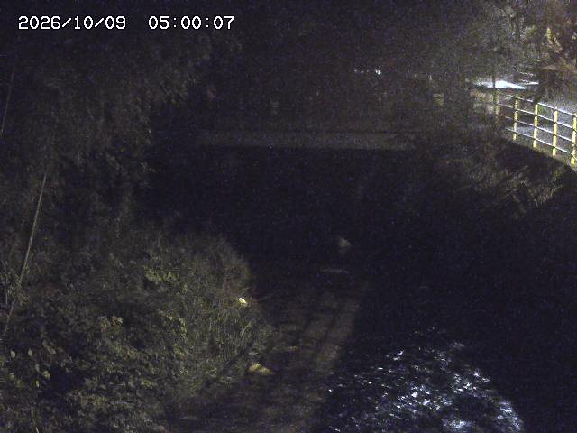 土師川３2026/10/09 19:40:00