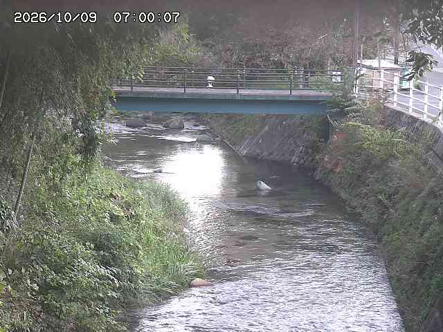土師川３2026/10/09 19:40:00