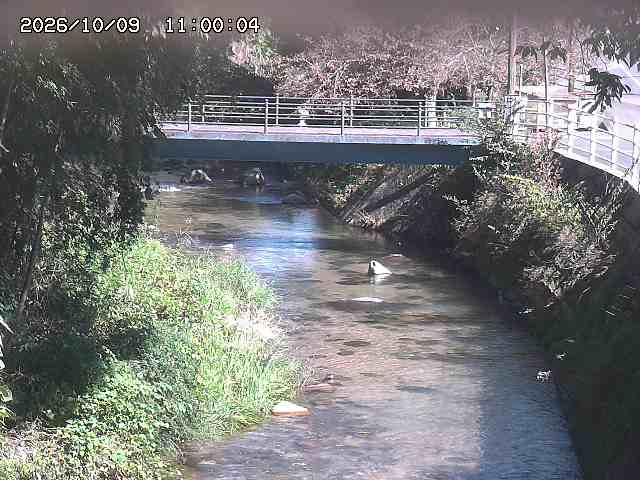 土師川３2026/10/09 19:40:00