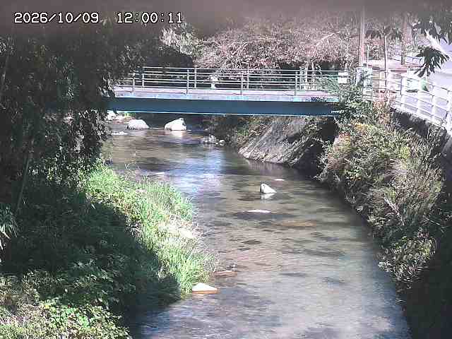 土師川３2026/10/09 19:40:00
