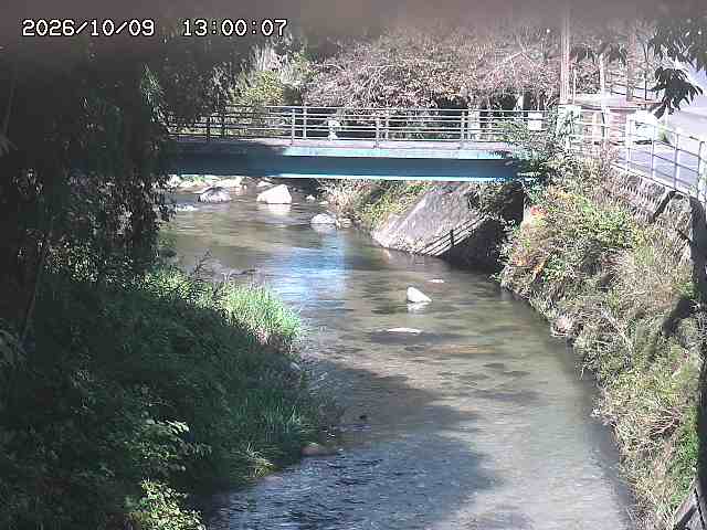 土師川３2026/10/09 19:40:00