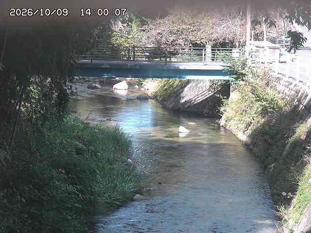土師川３2026/10/09 19:40:00