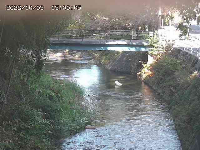 土師川３2026/10/09 19:40:00