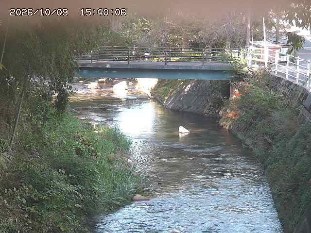 土師川３2026/10/09 19:40:00