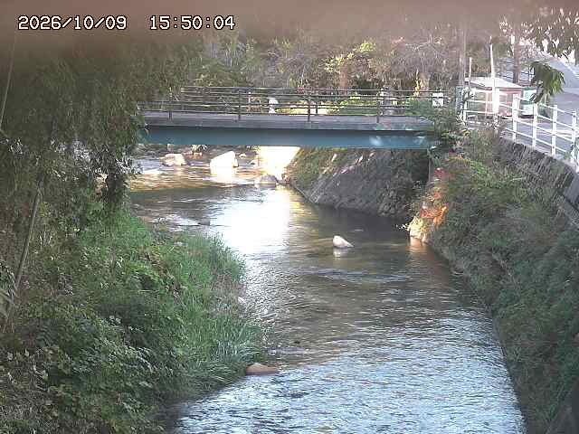 土師川３2026/10/09 19:40:00
