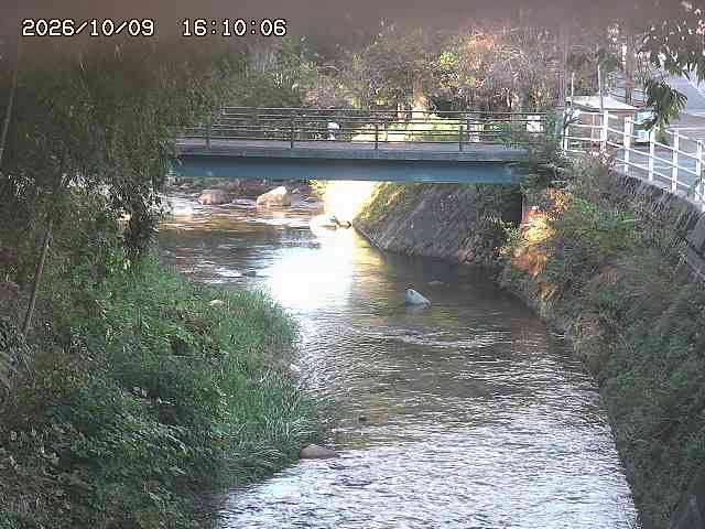 土師川３2026/10/09 19:40:00