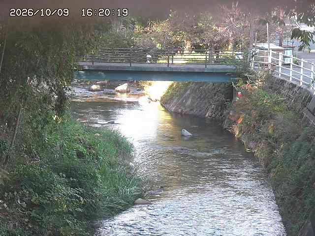 土師川３2026/10/09 19:40:00