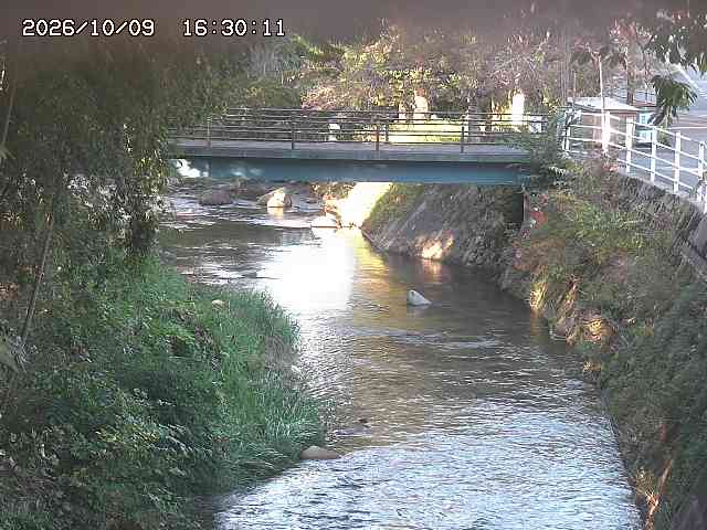 土師川３2026/10/09 19:40:00