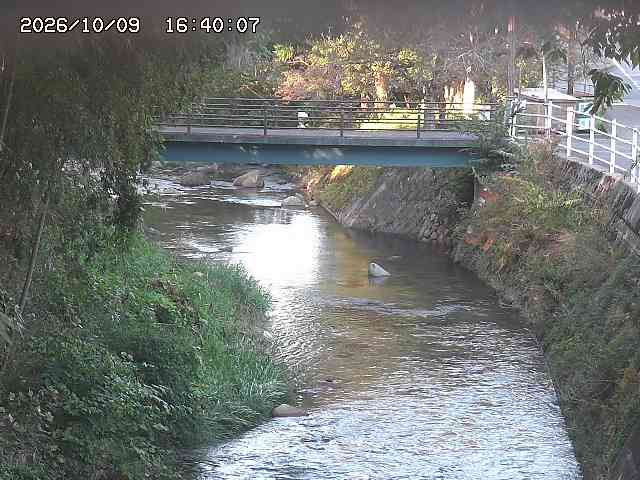 土師川３2026/10/09 19:40:00