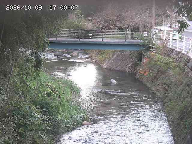 土師川３2026/10/09 19:40:00