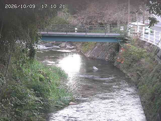 土師川３2026/10/09 19:40:00