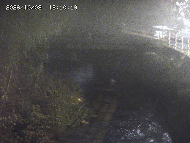 土師川３2026/10/09 19:40:00