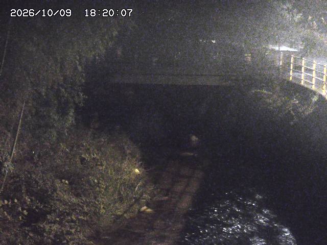 土師川３2026/10/09 19:40:00