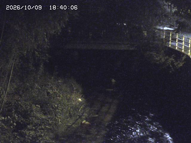 土師川３2026/10/09 19:40:00