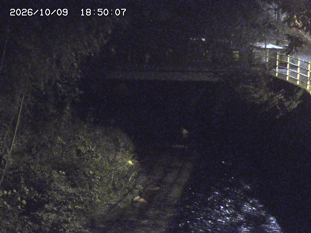 土師川３2026/10/09 19:40:00
