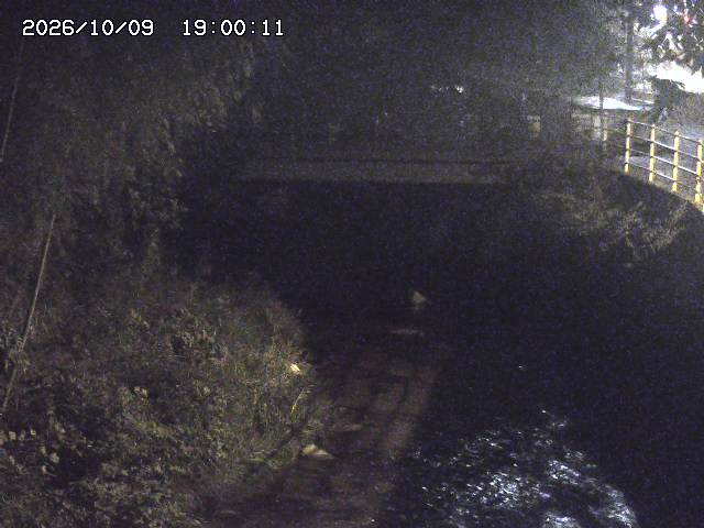 土師川３2026/10/09 19:40:00