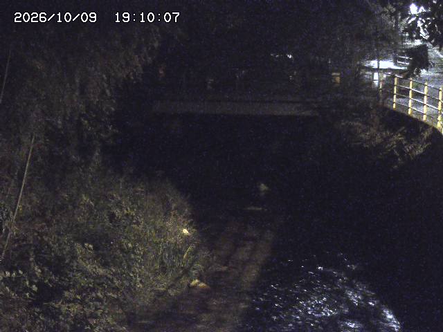 土師川３2026/10/09 19:40:00