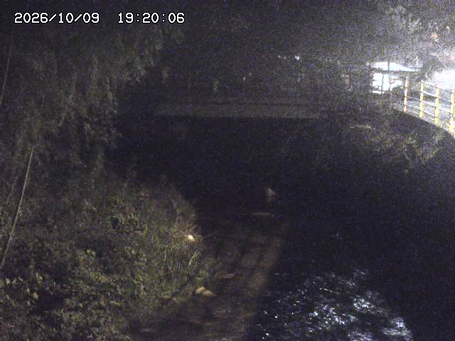土師川３2026/10/09 19:40:00