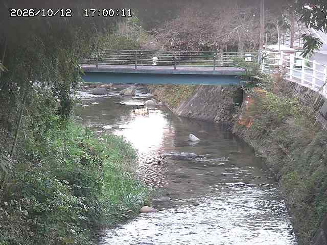 土師川３2026/10/13 14:30:00