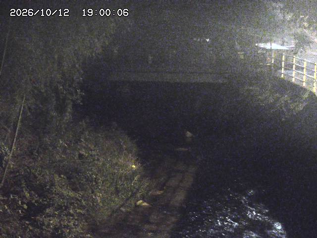 土師川３2026/10/13 14:30:00